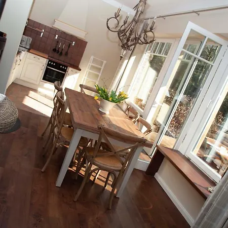 Gut Füchtel Und Gut Welpe * Vechta