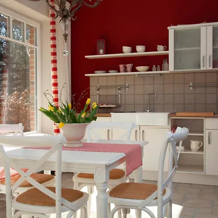 Gut Füchtel Und Gut Welpe