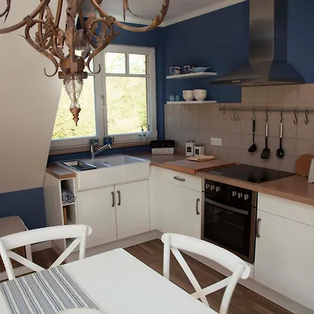 Gut Füchtel Und Gut Welpe Vechta